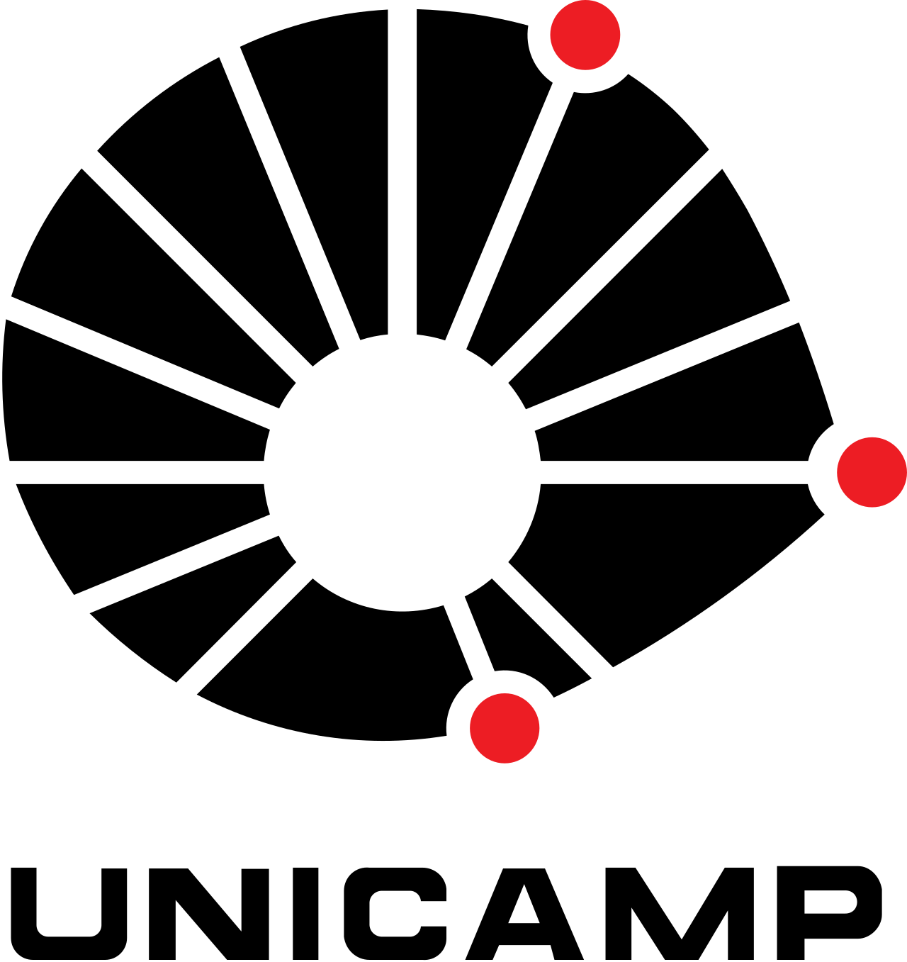 Logo Unicamp